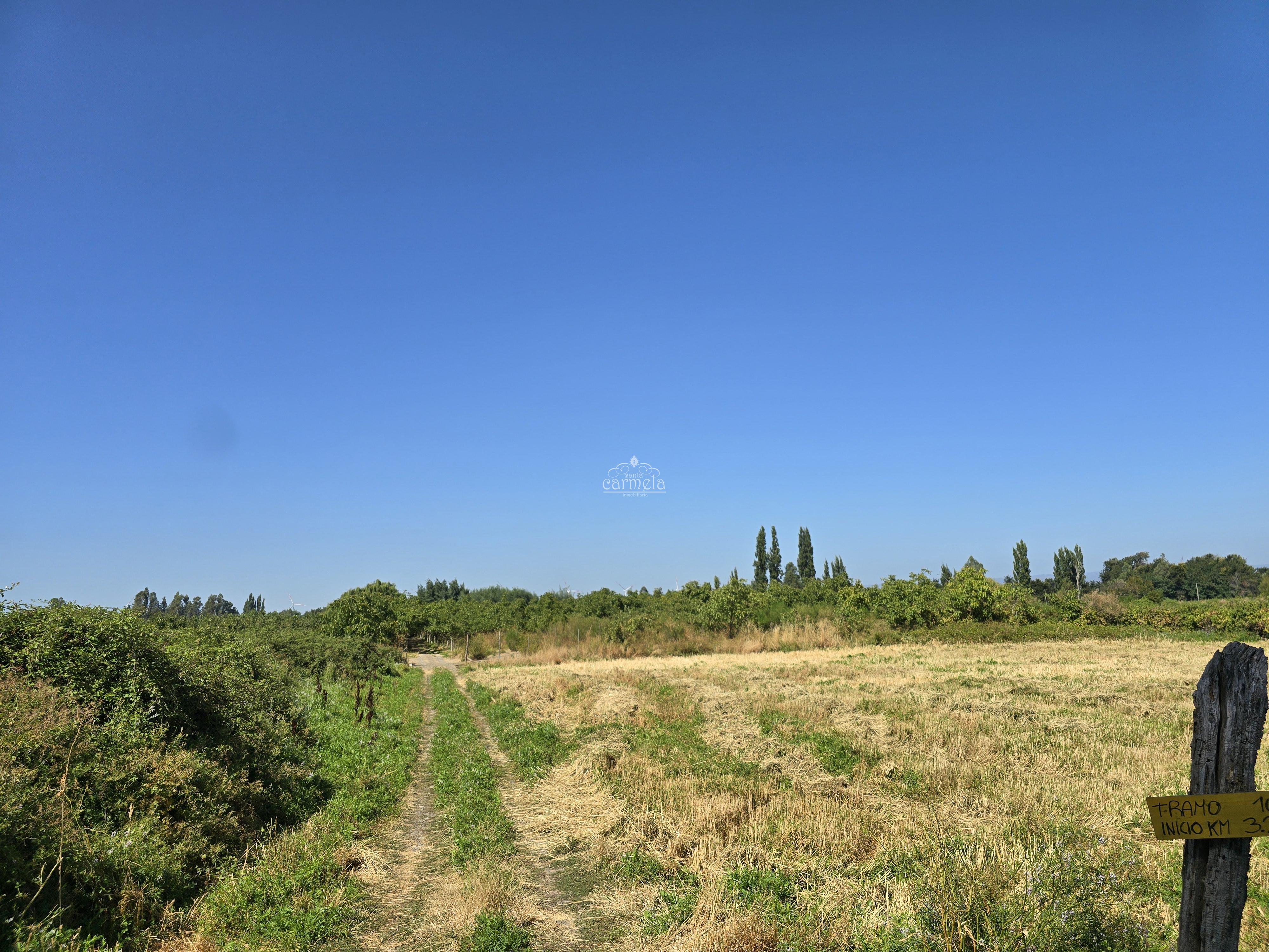 Campo agricola 